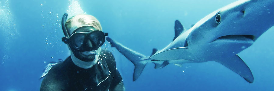 Swimming with sharks 